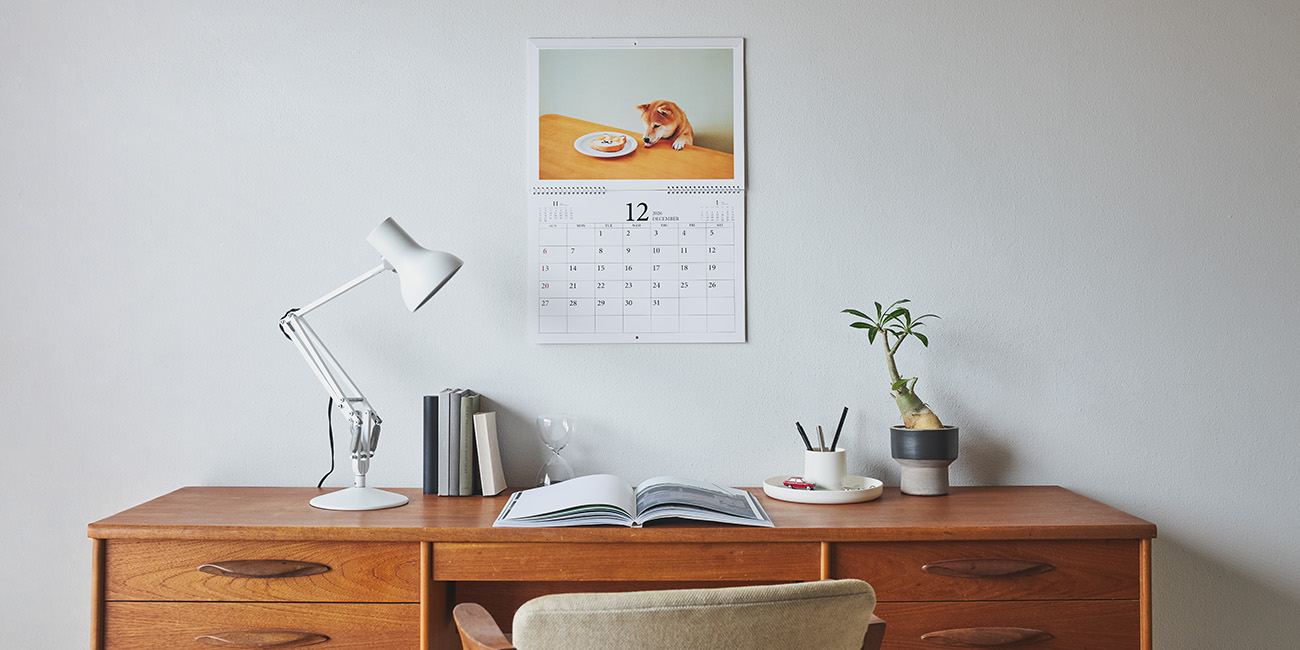 フォトカレンダーcoyomi 2026年度イメージビジュアル