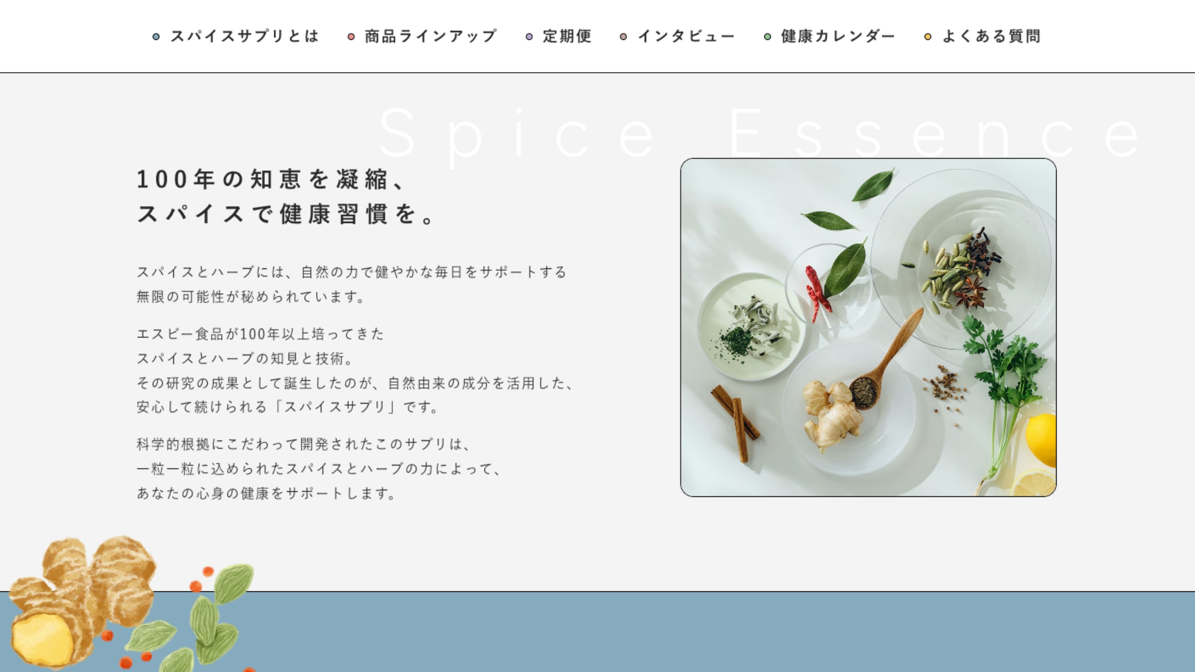 スパイスサプリTOP